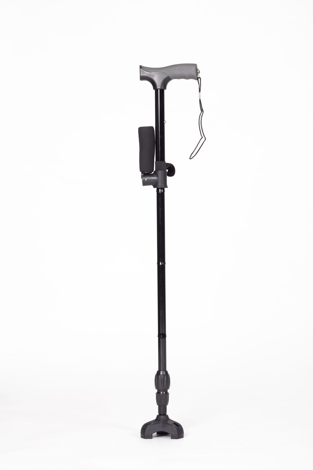 Twin Handled Walking Stick