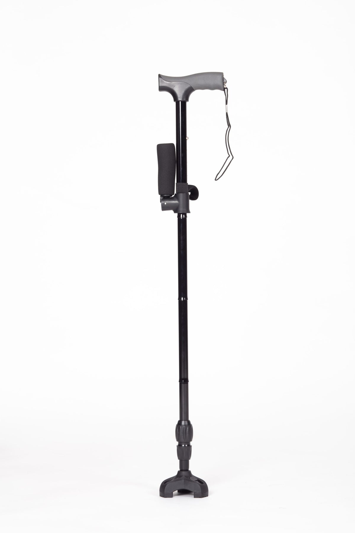 Twin Handled Walking Stick